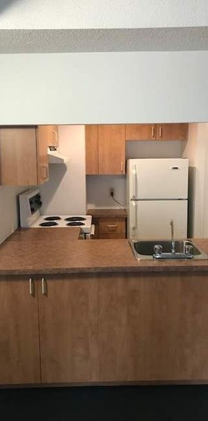 1 CH - 1 SDB - Montréal - $1,375 /mo - Photo 1