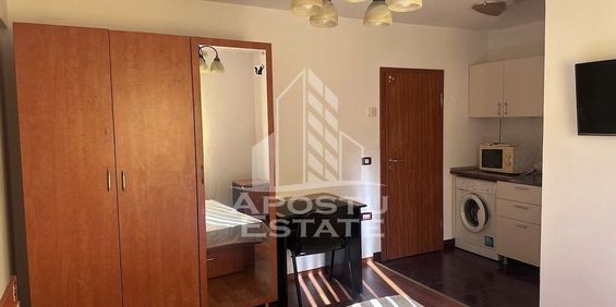 Apartament cu 1 camera , de inchiriat , Zona Take Ionescu ,Timisoara - Photo 3
