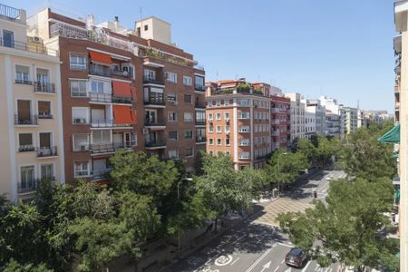 Calle de Narváez, Madrid, Community of Madrid 28009 - Photo 2