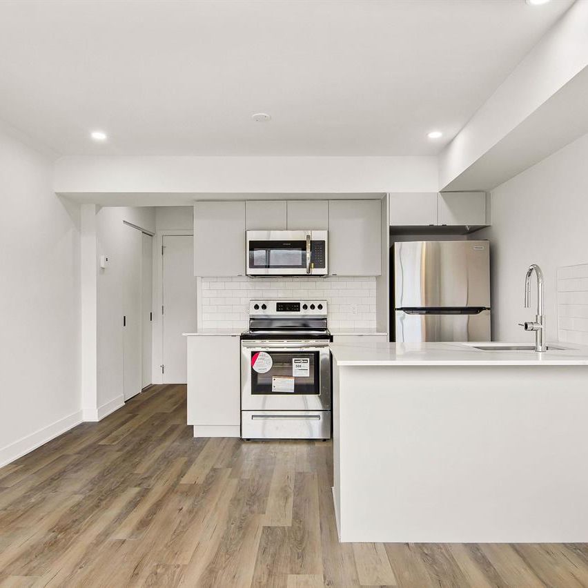 1 CH - 1 SDB - Montréal - $1,145 /mo - Photo 1