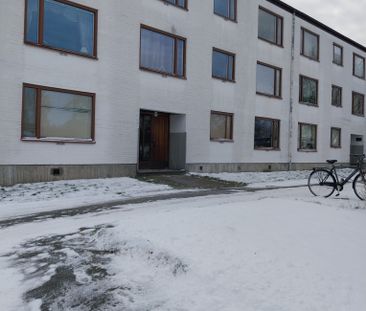 Ekbacken, Asarum - Foto 6