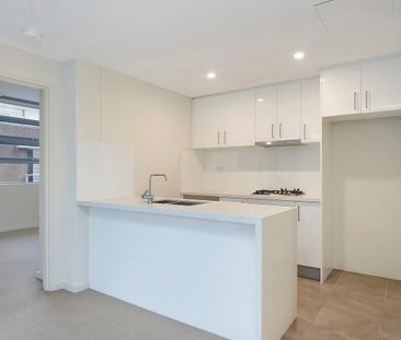 Spacious and Quiet - walk to Coles, Harris Farm, cafes & restaurant... - Photo 4