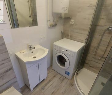 Mysłowice, Wielka Skotnica - Zdjęcie 3