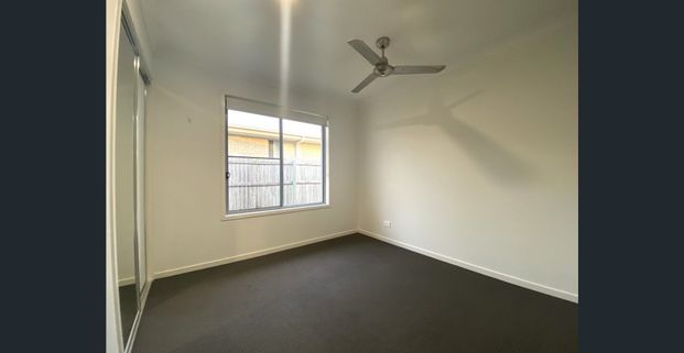 Stunning! 4 Bedroom Home - Available Now - The Meadows - Photo 1