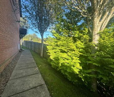 20 Birch Hill Meadows, Antrim, BT41 2TY - Photo 1