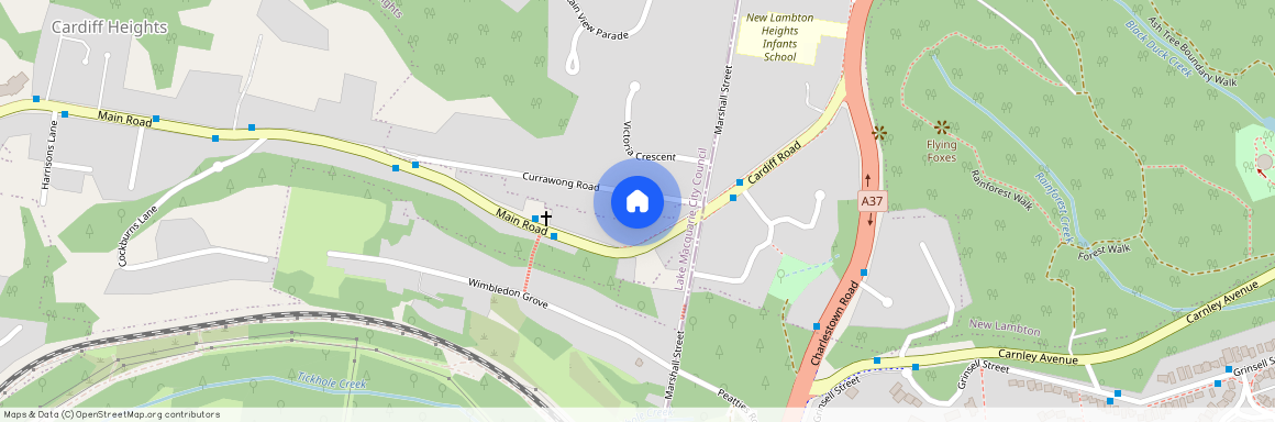 8 Currawong Road, NSW 2305, New Lambton Heights