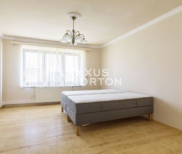 Pronájem domu 480 m² s pozemkem 483 m² - Photo 5