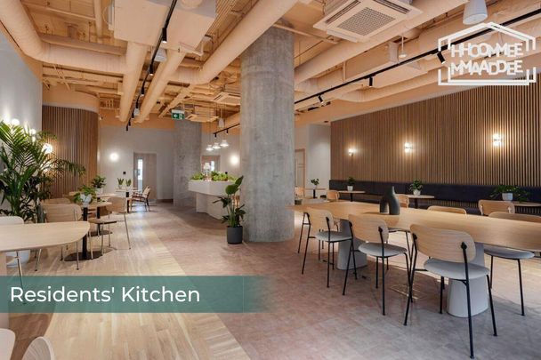 Studio to rent - Photo 1