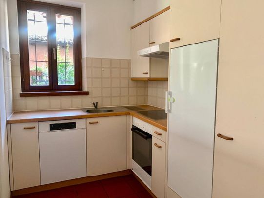 Appartamento in Affitto a Lugano - Foto 1