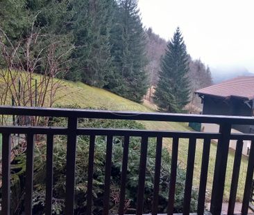 Location Appartement 1 pièce 18m² MONT SAXONNEX 74130 - Photo 6