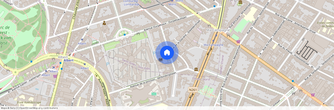 Rue Henri Wafelaerts, 45, 1060, Saint-Gilles