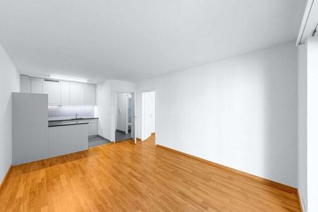 Quiet residential area near the University of Basel - Photo 5