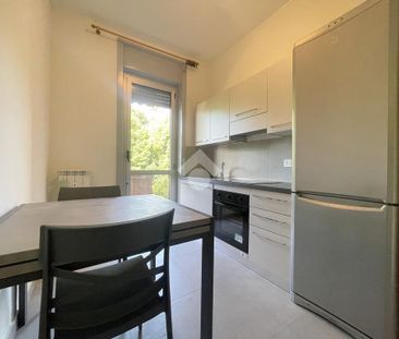 Trilocale in affitto - Photo 2