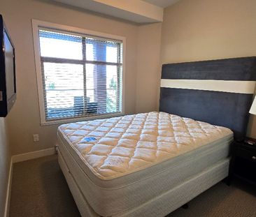 Copper Sky FURNISHED 2 bd, 2 bath condo - Photo 1