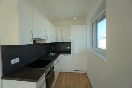 16 m² Terrasse: 2 Zimmer Wohnung in absoluter Ruhelage nahe Strebersdorf in 1210 Wien zu mieten - Photo 4