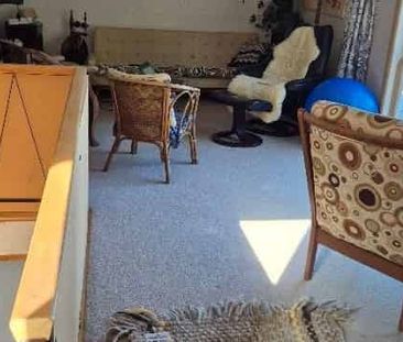 Lyall Bay views and sun - Photo 1