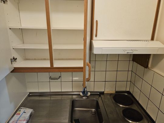 Studio near the old carouge - Photo 1