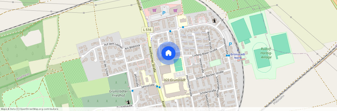 Theodor-Storm-Straße 7, 67269, Grünstadt