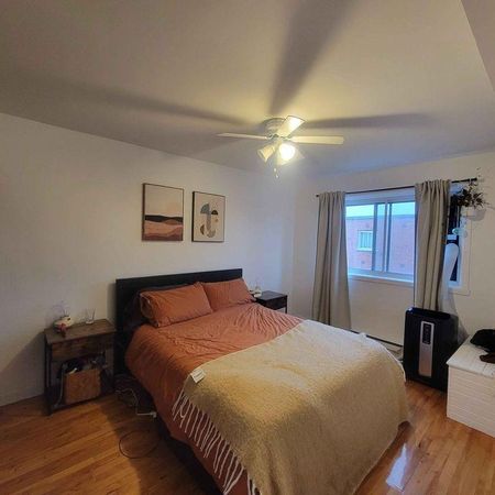 4 ½ Rosemont (Montréal), Rénové, eau chaude inclus, Esp. Lav & Sech, Libre juillet - Photo 4