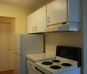 Charming 2 Bedroom, 1 Bath Unit for Rent - Photo 1