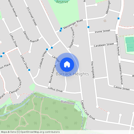 19 Lachlan Avenue, NSW 2528, Barrack Heights