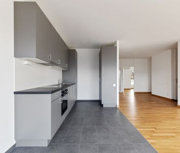 Prenez de la hauteur à Meyrin - Bail à terme fixe jusqu'au 31.12.2028 - Foto 4