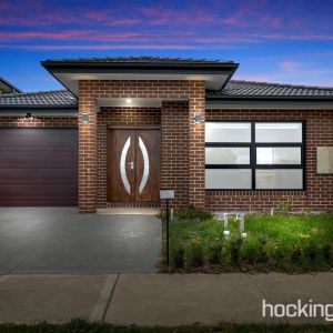 Absolutely Stunning 4 Bedroom House!!!! - Photo 2