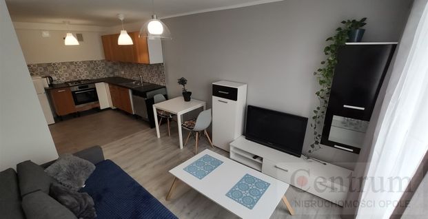 Opole, Centrum Mieszkanie na wynajem - Photo 1