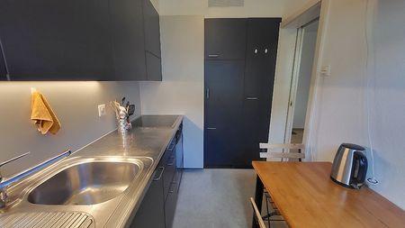 2½ Zimmer-Wohnung in Bern - Felsenau, möbliert, auf Zeit - Photo 4
