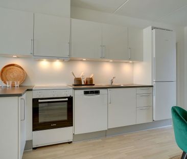 Moderne lejebolig i Odense M med fælles tagterrasse - perfekt til d... - Photo 6