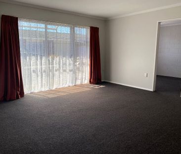 Large 3BR Unit in Palmerston North - Photo 2