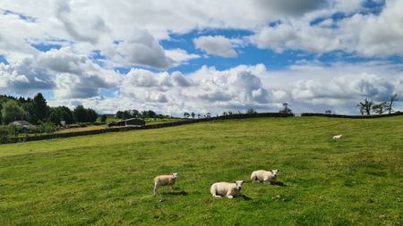 Kirtleton Farmhouse, Waterbeck, Lockerbie, DG11 3HD - Photo 5