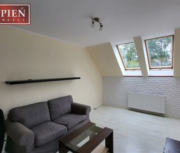 Przedstawiam Państwu ofertę wynajmu mieszkania dwupokojowego w cent... - Photo 6