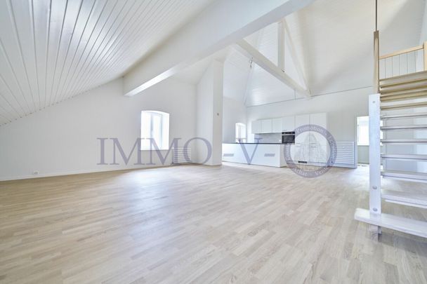 STANDING DUPLEX WITH BEAUTIFUL VOLUME - Foto 1