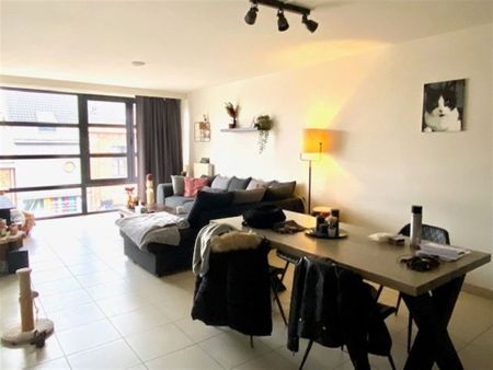 Appartement - Photo 5