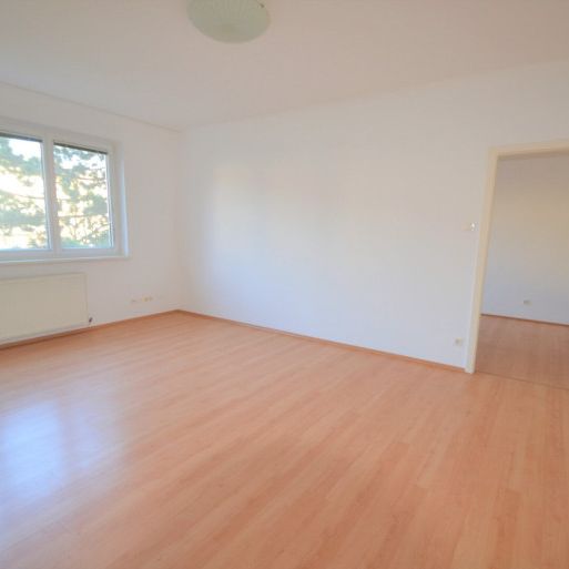 Ein Katzensprung zur U2 und zum Mühlwasser! - Foto 1