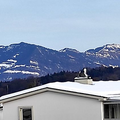 2½ Zimmer-Wohnung in Luzern, möbliert, auf Zeit - Photo 1