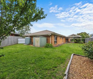 SPACIOUS FAMILY LIVING IN PRIME ALFREDTON - Photo 5