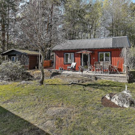 Blåhakeslingan, Ingarö - Foto 4