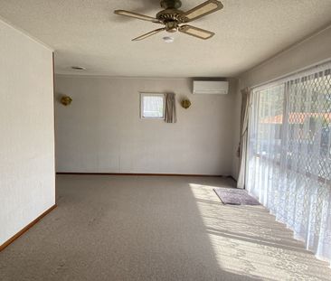 All You Need! - Photo 2