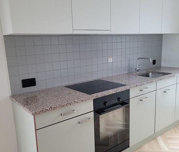 Moderne Wohnung in Dübendorf an ruhiger Lage - Foto 1