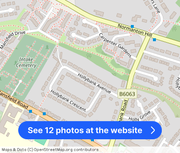 Hollybank Avenue, Intake, Sheffield, S12 - Photo 1