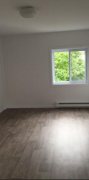 GRAND 3 ½ - ENTIÈREMENT RÉNOVÉ , 1165$/MOIS TOUT COMPRIS! DISPONIBLE POUR JUILLET - Photo 1