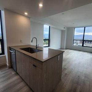 Beautiful Two Bedroom 2 Bath Unit on the 29th Floor - Photo 2