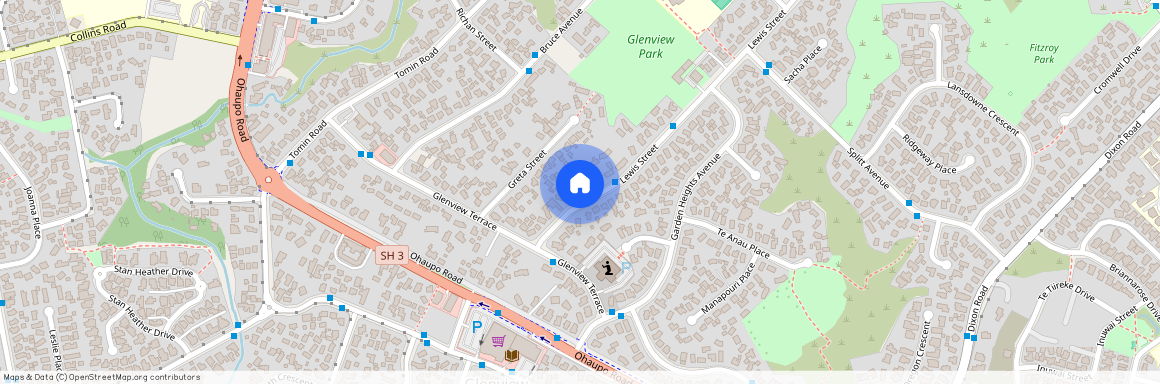 15 Lewis Street, Glenview, Hamilton City