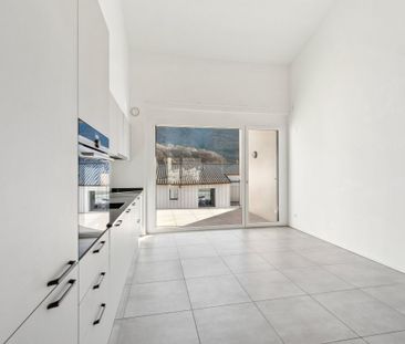 3 ½ Zimmer-Wohnung in Giubiasco mieten - Foto 1