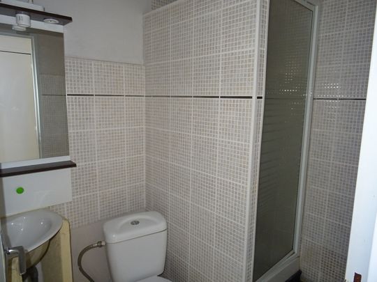 Location Appartement 1 Pièce 37 m² - Photo 1