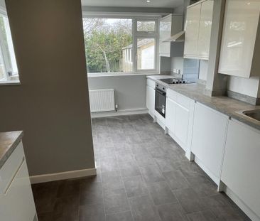 2 bedroom detached bungalow to rent - Photo 5