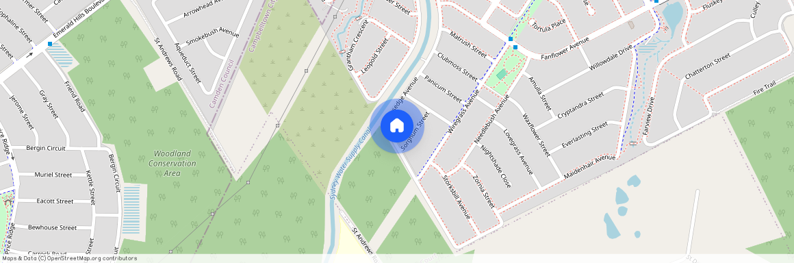 87 Sawsedge Avenue, NSW 2565, Denham Court