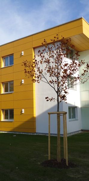 Objekt 2037: 2-Zimmerwohnung in 5252 Aspach, Dr. Finsterer-Weg 4, Top 6 - Foto 1